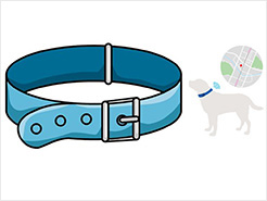 Other-Consumer-Equipment_Smart-Dog-Collar